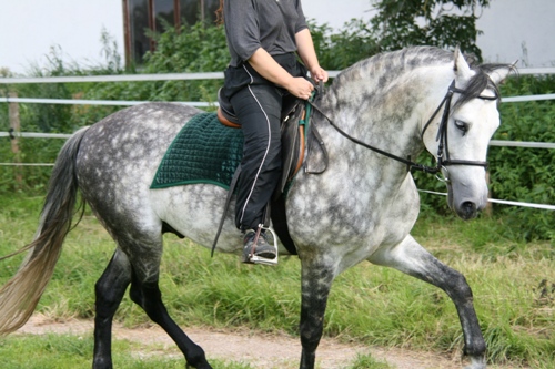 Gr��en�nderung Jardi-4