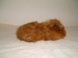 Pic Dolores-1