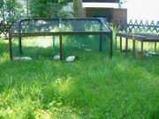 Pic Drau�en-1