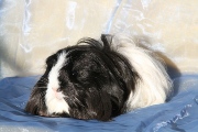 Pic Fabiola-9