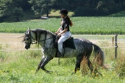 Pic Jardi-93