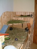 Pic  KiGa-1