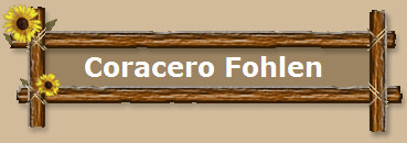 Coracero Fohlen