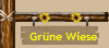 Gr�ne Wiese