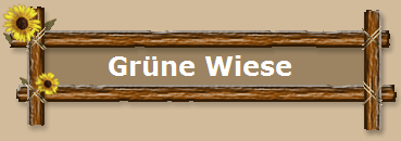 Gr�ne Wiese