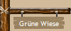 Gr�ne Wiese