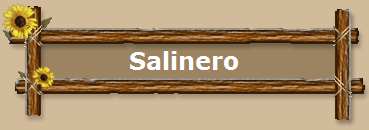 Salinero