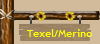 Texel/Merino