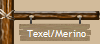 Texel/Merino