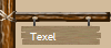 Texel