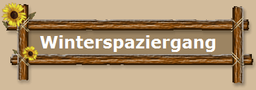 Winterspaziergang